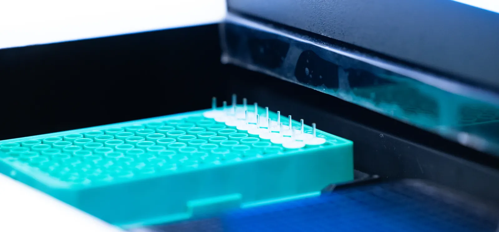 Apollo Therapeutics brand application